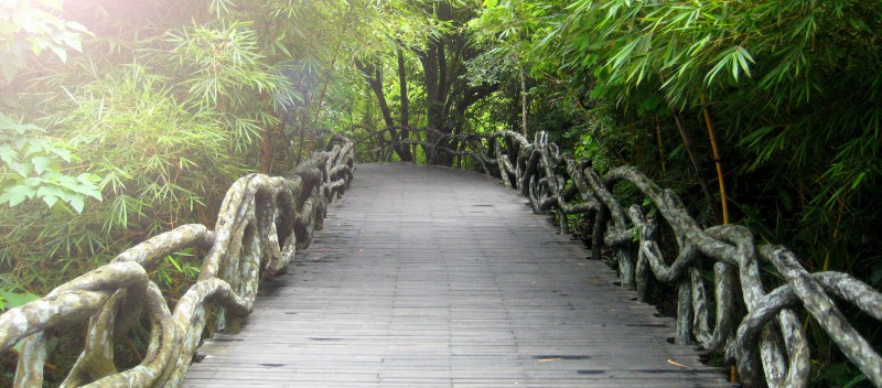 yanoda_china_park